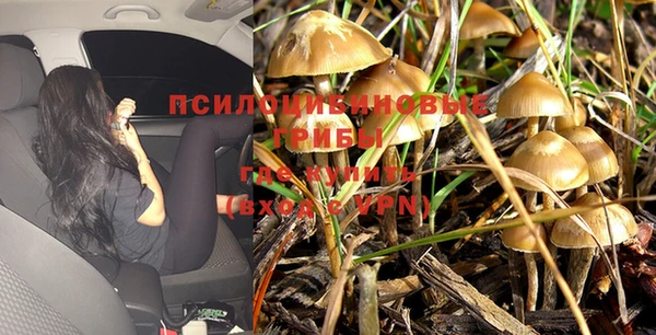 крисы Балабаново