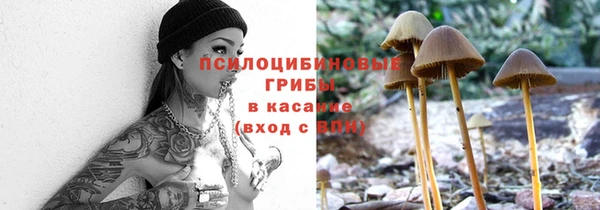 крисы Балабаново